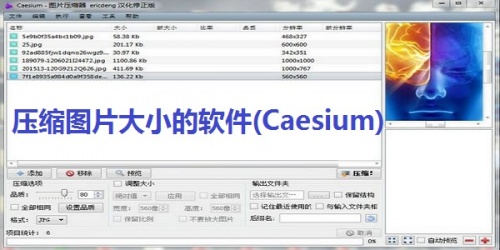 Caesium下载_Caesium(图片压缩工具)免费最新版v1.7.0 运行截图2