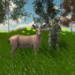 动物狩猎模拟器手机中文版下载_动物狩猎模拟器游戏免费版下载v1 安卓版