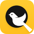 小鸟探店手机最新版下载_小鸟探店app安卓版下载v1.2.4 安卓版