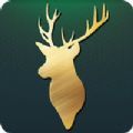 荒野狩猎射击猎物游戏下载最新版_荒野狩猎射击猎物官方版下载v34 安卓版