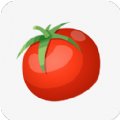 西红柿小说app免费版下载安装_西红柿小说最新版下载v1.1 安卓版