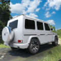 越野车吉普驾驶模拟器游戏下载_越野车吉普驾驶模拟器安卓版下载v2.0.1 安卓版
