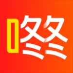 团咚咚最新版下载_团咚咚app下载v1.1 安卓版