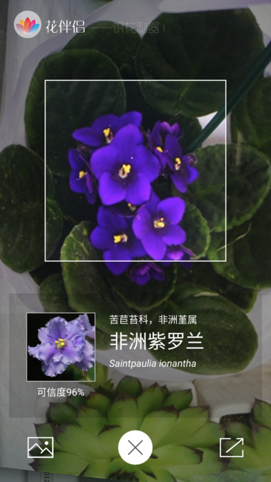 花伴侣专业版app下载官方版_花伴侣植物识别软件下载安卓版V3.0.2 运行截图2