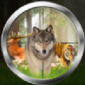 森林狩猎大师游戏下载_森林狩猎大师手机版下载v1.2 安卓版