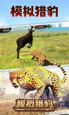 模拟猎豹生存游戏下载手机版_模拟猎豹生存游戏最新下载V1.0.0