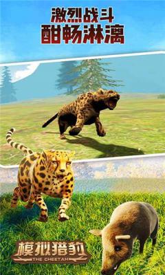 模拟猎豹生存游戏下载手机版_模拟猎豹生存游戏最新下载V1.0.0 运行截图1