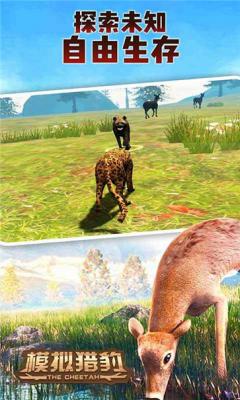 模拟猎豹生存游戏下载手机版_模拟猎豹生存游戏最新下载V1.0.0 运行截图2