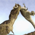 恐龙吞噬大作战最新版下载_恐龙吞噬大作战安卓免费版下载v1.2 安卓版