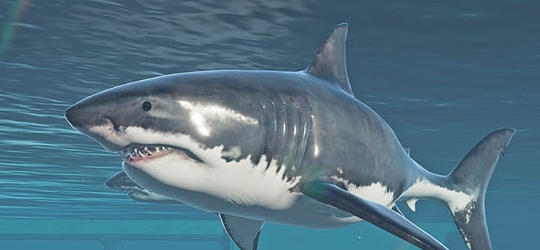 侏罗纪世界进化2大白鲨替换鱼龙MOD下载-侏罗纪世界进化2大白鲨替换鱼龙MOD电脑版下载v1.0.0