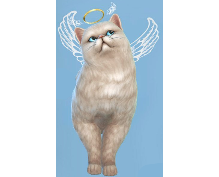 模拟人生4猫咪天使翅膀光环MOD下载-模拟人生4猫咪天使翅膀光环MOD电脑版下载v1.0