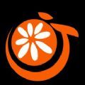 橘子视频美化app下载_橘子视频美化最新版下载v1.0.2 安卓版