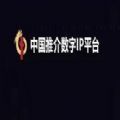 中国推介数字IP平台app下载_中国推介数字IP平台数字藏品最新版下载v1.0 安卓版