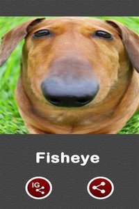 鱼眼镜头app下载_鱼眼镜头安卓版下载v1.05 安卓版 运行截图1