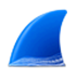 wireshark3.6.6