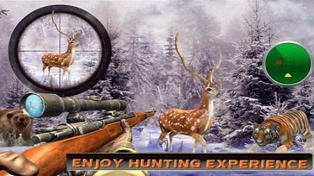 鹿狩猎野生动物狩猎2022最新版下载_鹿狩猎野生动物狩猎游戏下载v1.0.0 安卓版 运行截图3
