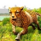 模拟猎豹生存游戏免费版下载_模拟猎豹生存2022下载v1.0 安卓版
