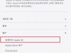 苹果admin怎么注册_苹果Apple ID如何注册[多图]