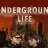 地下生活游戏下载-地下生活Underground Life中文版下载