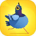 抖音疯狂的鸽子游戏下载_抖音疯狂的鸽子免费版下载v1.2.4 安卓版