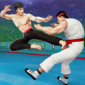 功夫大师2022破解下载-功夫大师(Karate Fighter)无限金币钻石版v2.9.9