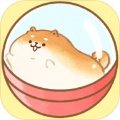 面包胖胖犬无限金币版下载-面包胖胖犬汉化版下载