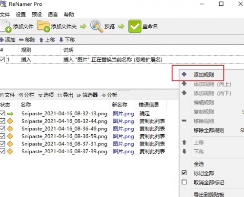 ReNamer中文版下载_ReNamer中文版绿色免费最新版v7.3 运行截图2