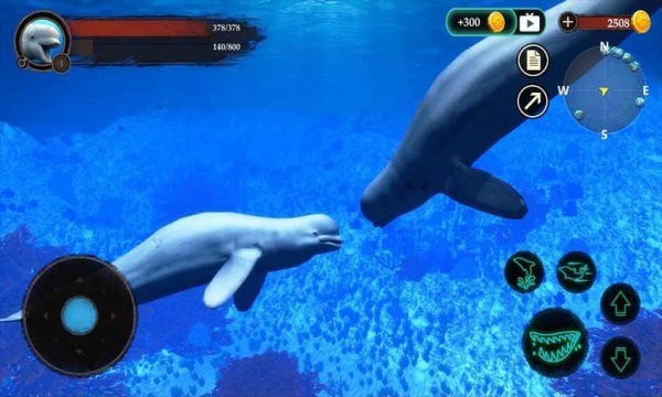 白鲸模拟器游戏免费版下载_白鲸模拟器安卓版下载v1.0.1 安卓版 运行截图3