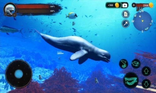白鲸模拟器游戏免费版下载_白鲸模拟器安卓版下载v1.0.1 安卓版 运行截图2