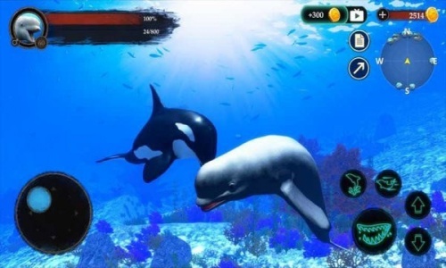 白鲸模拟器游戏免费版下载_白鲸模拟器安卓版下载v1.0.1 安卓版 运行截图1