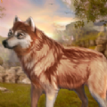 野狼动物模拟器游戏下载_野狼动物模拟器手机版下载v1.0.3 安卓版