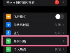 苹果13怎么关5g换4g_苹果13怎么关闭5g网络换4g[多图]