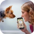 动物语言翻译模拟器app下载_动物语言翻译模拟器手机版下载v10.0 安卓版