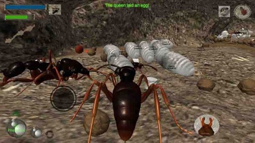 蚂蚁求生模拟器游戏下载中文版_蚂蚁求生模拟器游戏安卓版下载V306.1.0.3018 运行截图1