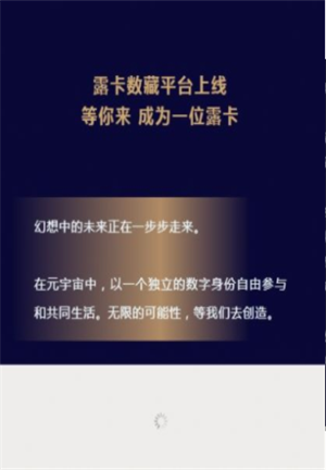 露卡数藏平台app下载_露卡数藏安卓最新版下载v1.0 安卓版 运行截图1