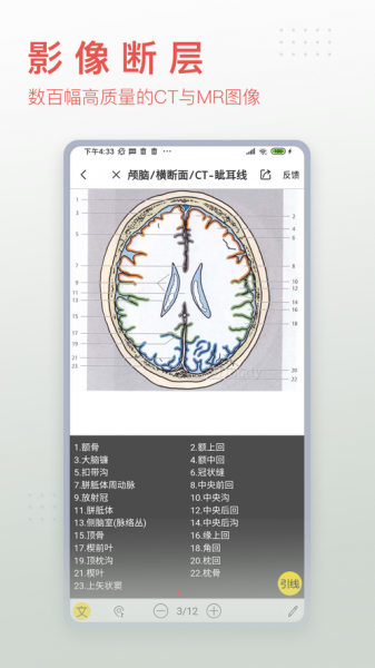 3Dbody解剖app免费版下载_3Dbody解剖手机版下载v8.2.0 安卓版 运行截图1