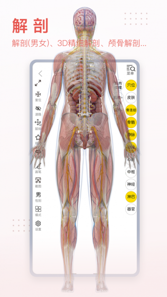 3Dbody解剖app免费版下载_3Dbody解剖手机版下载v8.2.0 安卓版 运行截图3