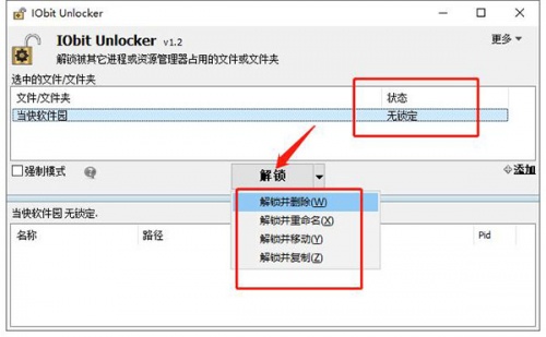IObit Unlocker中文版下载_IObit Unlocker中文版最新免费绿色最新版v1.3.0.10 运行截图2