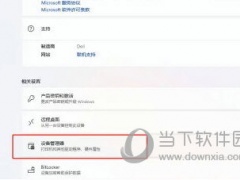 Windows11系统怎么查看显卡型号 查看自己电脑显卡型号教程