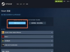 steam退款条件_steam退款需要什么条件