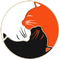 野猫助手画质助手app下载_野猫助手免费最新版下载v1.0 安卓版