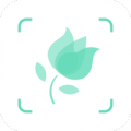 形色植物识别app免费版下载_形色2022最新版下载v3.14.15 安卓版
