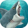 鲨鱼世界免费版下载_鲨鱼世界内置功能菜单下载v11.58 安卓版