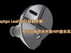 Raptgo Leaf-D01耳机评测_怎么样[多图]