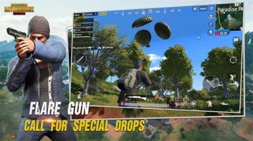 pubg吉祥物直装1.6版本下载_pubg吉祥物直装免费安卓版下载v1.6 安卓版 运行截图1