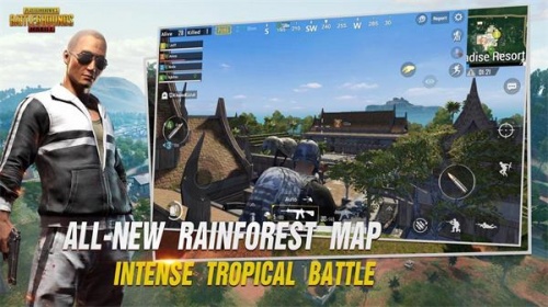 pubg吉祥物直装1.6版本下载_pubg吉祥物直装免费安卓版下载v1.6 安卓版 运行截图2