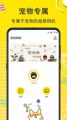 猫狗开心一刻app下载_猫狗开心一刻最新版下载v7.1.1001 安卓版 运行截图3