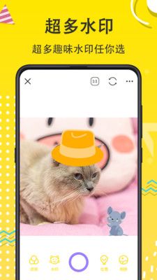 猫狗开心一刻app下载_猫狗开心一刻最新版下载v7.1.1001 安卓版 运行截图2