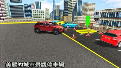 真实多层停车