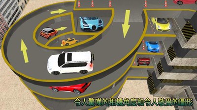 真实多层停车